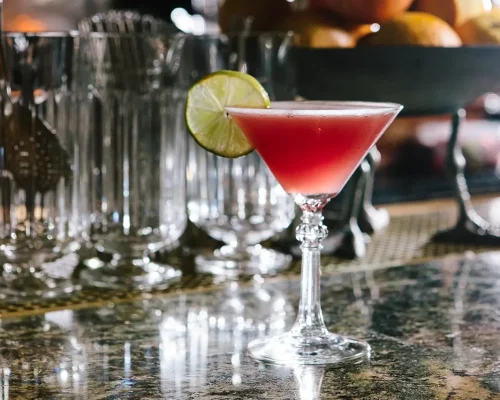 Pisco Punch - Grey Hen Rx