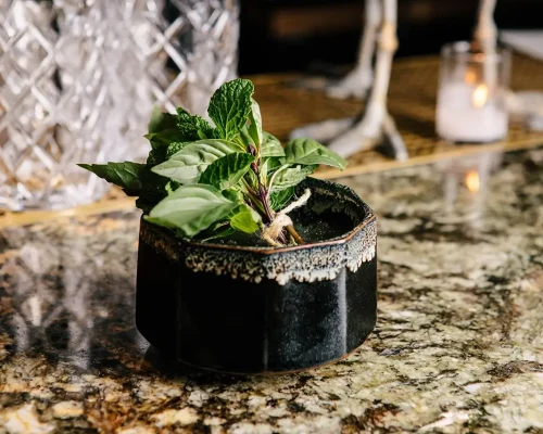 Venom of Tranquility - Grey Hen Rx